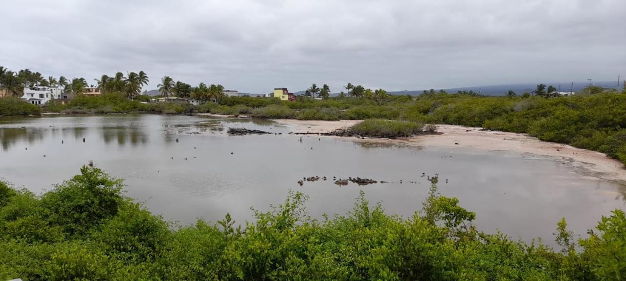 Flamingos House Puerto Villamil Εξωτερικό φωτογραφία